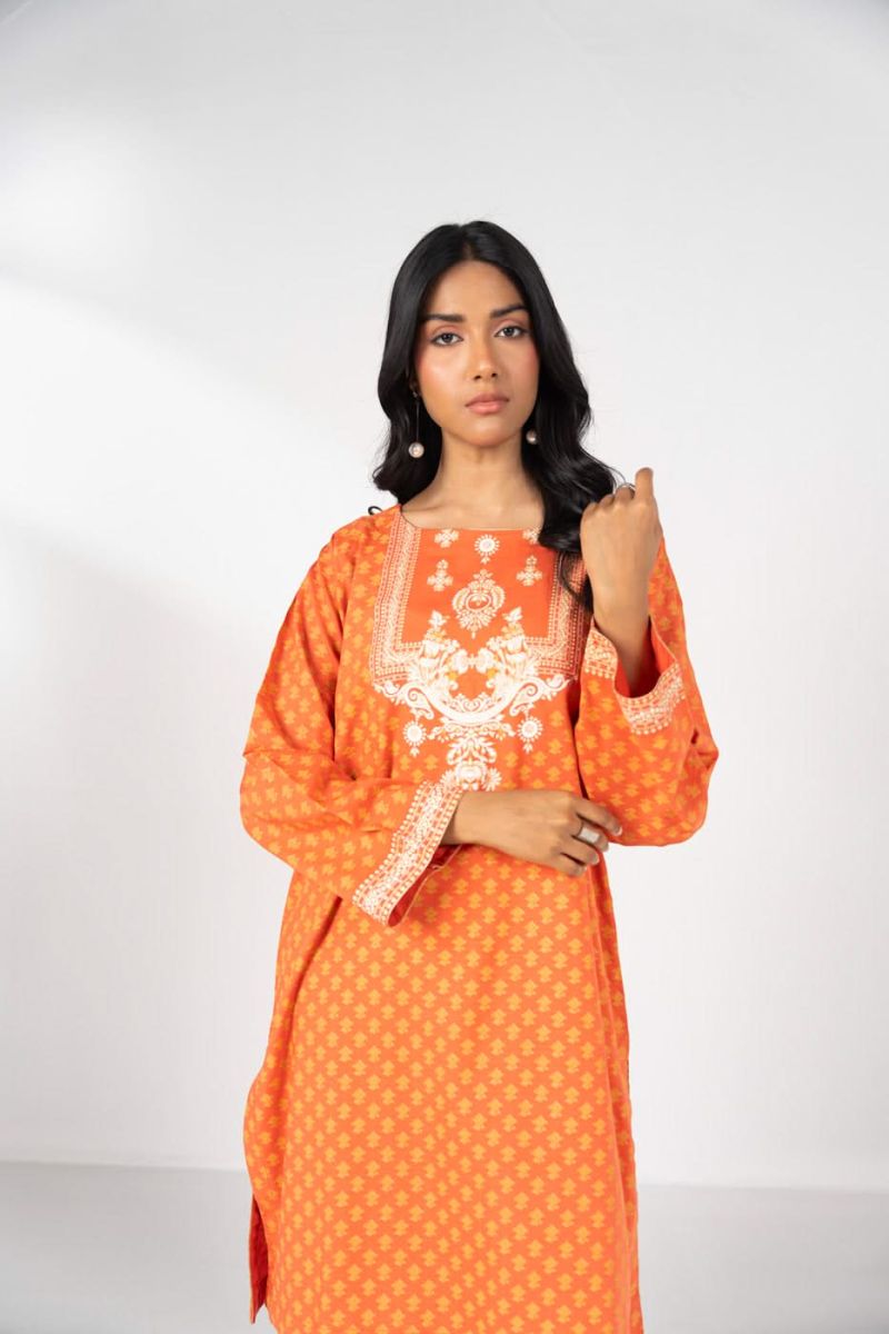 RTW | SHIRT & DUPATTA