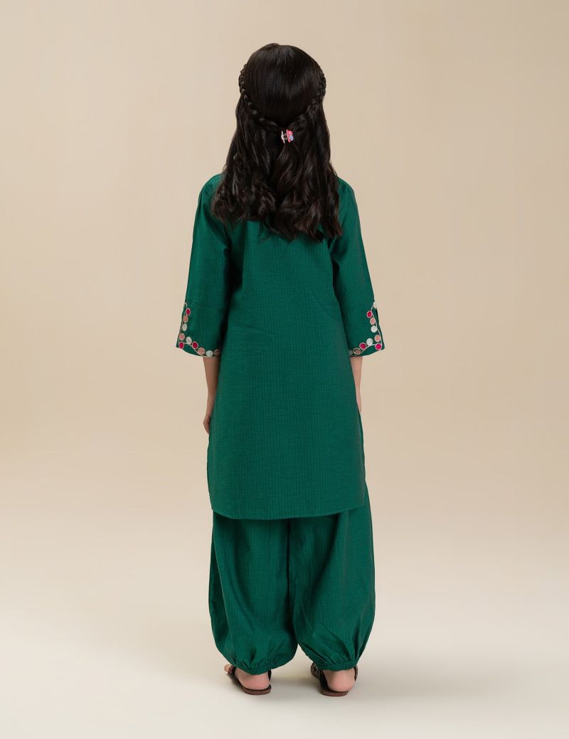 2 PIECE VIBRANT EMBROIDERED SUIT