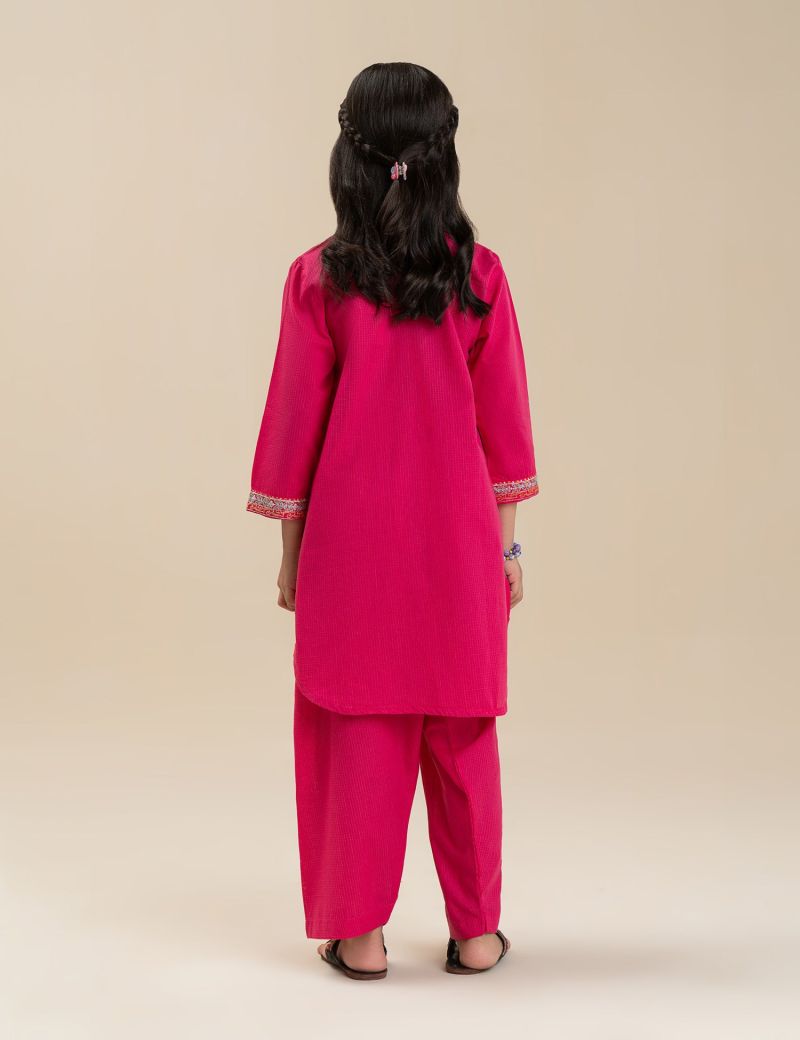 2 PIECE STYLISH EMBROIDERED SUIT
