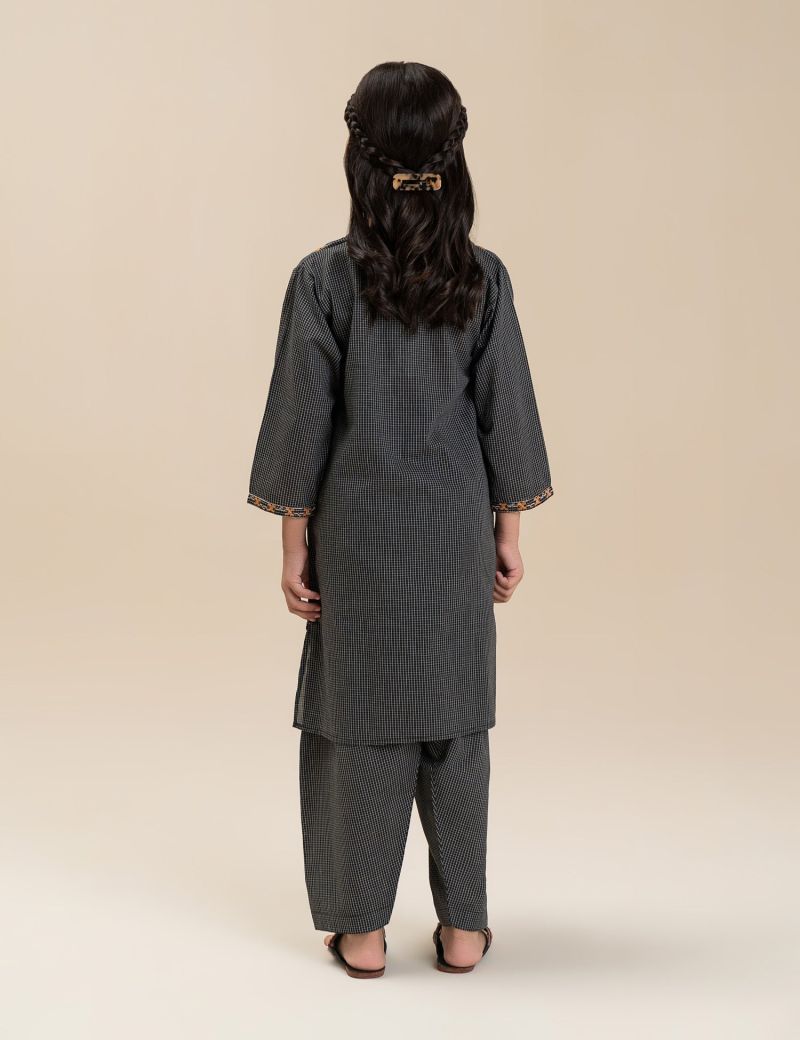 2 PIECE ETHNIC EMBROIDERED SUIT